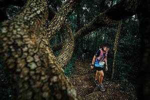 BIB: 
                            <button type="button" onclick="openModal(25696339)" class="btn btn-primary btn-sm float-right btn-popup" data-toggle="modal" data-target=".modal-high-quality">
                        <i class="fas fa-shopping-cart"></i> Add to Cart
                    </button>
                                            <button type="button" onclick="isThisMe(25696339, true)" class="btn btn-success btn-sm float-right btn-popup btn-isme hidden" data-toggle="tooltip" data-placement="bottom" title="นี่คือรูปของคุณใช่ไหม คลิกที่นี่เพื่อเอาเข้าอัลบั้ม">
                        <i class="fas fa-plus"></i> Add to album
                    </button>
                    <button type="button" onclick="isThisMe(25696339, false)" class="btn btn-warning btn-sm float-right btn-popup btn-isnotme hidden">
                        <i class="fas fa-ban"></i> Remove from album
                    </button>